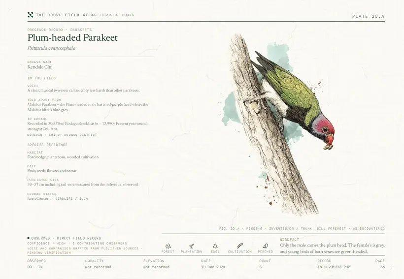 Plate 20.A — Plum-headed Parakeet, presence record